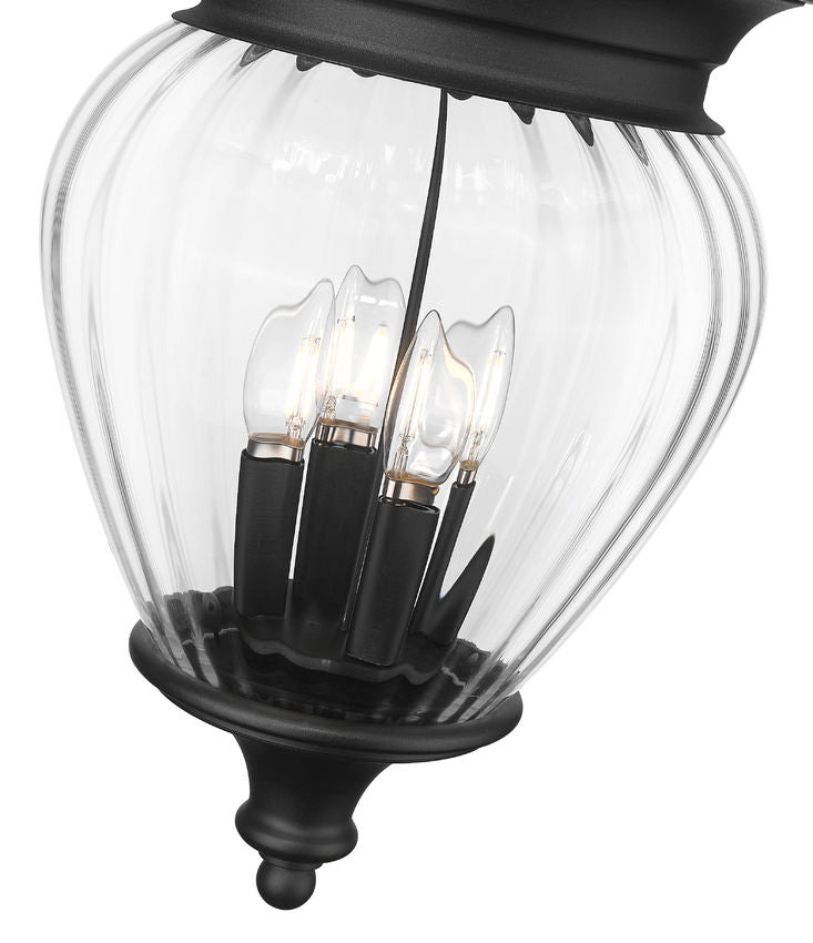 Z-Lite Davina Outdoor Chain Mount Lantern Black | Lighting House Orillia