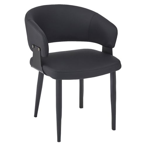 WHI Sloane Black Lighting House Orillia